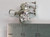 Buffalo sterling silver charm .925 Bison and Buffaloes charms alternate view