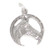 Horsehead in Horsesheoe sterling silver charm .925 Horse charms