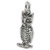 Owl bird sterling silver charm .925 Owls Birds charms A