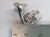French Horn sterling silver charm .925 Musical Instrument charms size example