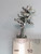Cypress Tree sterling silver charm .925 Cypres Trees charms detail