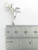 Seal sterling silver charm .925 Seals charms additional view