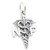 NP Nurse Practitioner sterling silver charm .925 medical charms