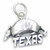 Armadillo Texas sterling silver charm .925 x 1 Texan Armadillos charms