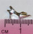 Polished Open Toe Shoe sterling silver charm .925 charms EU232357 detail