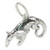 Anteater sterling silver charm .925 x 1 Tamandua Ant Eater Anteaters