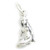 Virgo the Virgin sterling silver zodiac charm .925 Zodiacs charms