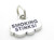 Smoking Stinks sterling silver charm .925 Smoke Smoker Quitting charms additional view