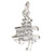 Long Life chinese symbol sterling silver charm .925 x 1 Characters