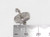 Parasol Umbrella sterlng silver charm .925 Parasols Umbrellas charms side view