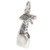 Cleaning Spray Bottle sterling silver charm .925 Gardening Bottles