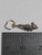 Mouse Rat TINY sterling silver charm .925 x 1 Mice and Rats charms