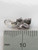 Squirrel TINY sterling silver charm .925 Squirrels charms size example