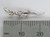 Alligator Crocodile Tiny sterling silver charm .925 Gators and Crocs detail