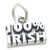 100 Percent Irish sterling silver charm .925 Ireland charms