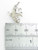 Saber Toothed Tiger charm .925 Sabre tooth tigers Dinosaurs charms size example