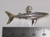Shark 2D large sterling silver charm - pendant .925 x 1 Sharks side view