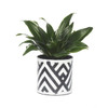 Ganz Black and White Geo Mini Planter Set