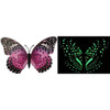 Flutter Gallery Dimensional Butterfly Magnet
