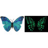 Flutter Gallery Dimensional Butterfly Magnet