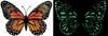 Dimensional Butterfly Magnet