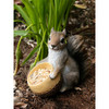 Zingz and Thingz Squirrel and Acorn Bird Feeder