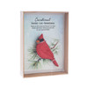 Ganz Bird Song Figurine in Gift Box