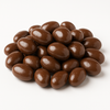 Chocolate Covered Raisins 14 oz
