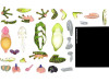  4D Vision Model Frog