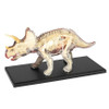  4D Triceratops Vision Model