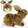 Brigid the Brown Rabbit Stuffed Animal