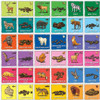 Jr Ranger Animal Poop Matching Game