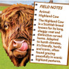  Highland Cow 100 Piece Shaped Jigsaw Puzzle