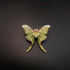  Luna Moth Educational Insect Pin