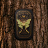  Luna Moth Educational Insect Pin
