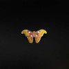  Atlas Moth Educational Insect Pin