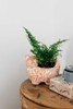  Garden Kitty Planter