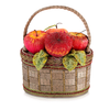 Apple Orchard Beaded Top Handle Purse