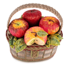 Apple Orchard Beaded Top Handle Purse
