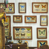 DIY Book Nook Kit Butterfly Workshop