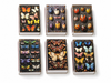 Insect Specimen Match Boxes