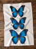  Blue Morpho Butterfly Tea Towel
