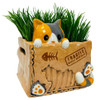  Cat in the Box Planter