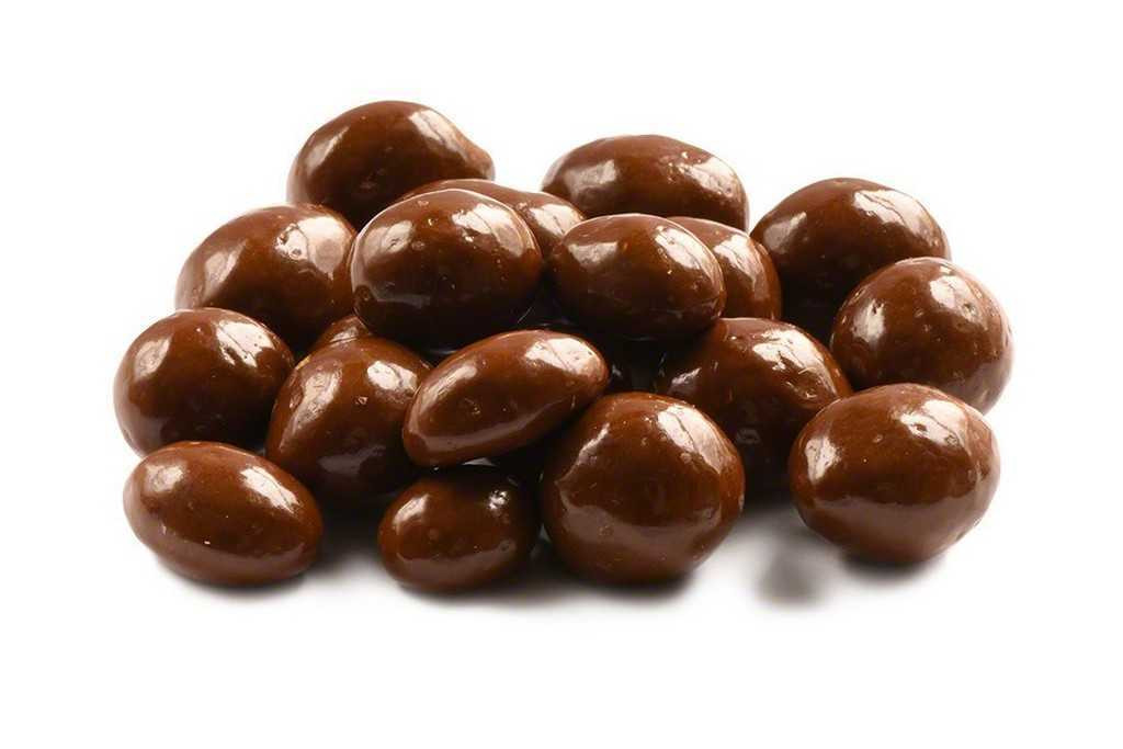 Sugar Free Chocolate Raisins 12 oz The Nut House