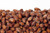 The Nut House Honey Roasted Almonds 10 oz The Nut House Honey Roasted Almonds 10 oz