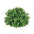 Sullivan's Boxwood Orb Sullivan's Boxwood Orb