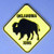 Real Time Products Oklahoma Buffalo Crossing Magnet Real Time Products Oklahoma Buffalo Crossing Magnet
