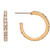 Rain Jewelry Collection Gold Clear Crystal Hoop Earrings