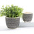 Giftcraft Spotted Textured Planter Set of 2