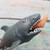  Biting Leg Shark Squeeze Toy